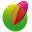 21centurysorghum.com