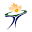 55plusgames.ca