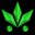 805-cannabis.com