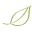 aacfm.org