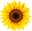 aadhisolar.in