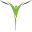 abhayamtrust.org