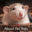 aboutpetrats.com