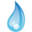 absoluteaquatics.com