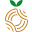 absolutefoods.com