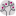 aceesca.com