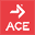acefitness.org