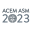 acem2023.com