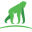 achieveglobalsafaris.com