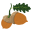 acornfarms.net