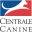 activites-canines.com