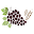 actonwine.com