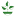 adamsfarms.com