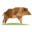aduro.de