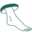 advancedfootcarechicago.com