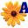 adwork.ch
