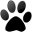 aec4pets.com