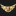 aerolite.org
