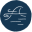 aframesurfcamp.com