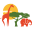 afriquedusud-decouverte.com