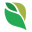 ahcc.co.id