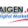 aigen.org