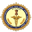 aiimspatna.edu.in