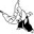 aikido.net.nz