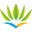 aircaraibes.com