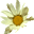 akmurat.net