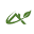 aktardiyari.com