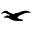 albatrossituote.fi