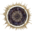alchemistcodedb.com