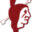 alibamu.org