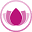 aliciaexplores.com