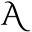allergytoday.com