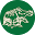 alligator.com