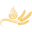 almaida.com