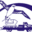 alnouras.com