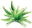 aloemood.com