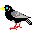 alpesoiseaux.free.fr