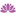 alternativa-webshop.com