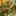 amargaan12.weebly.com
