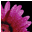 amberfrederiksen.com