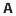 amco.net.au