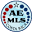american-european.net