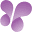 amicus.org.au