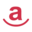 amigoinsurance.com