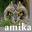 amika.de