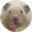 amoneso.com